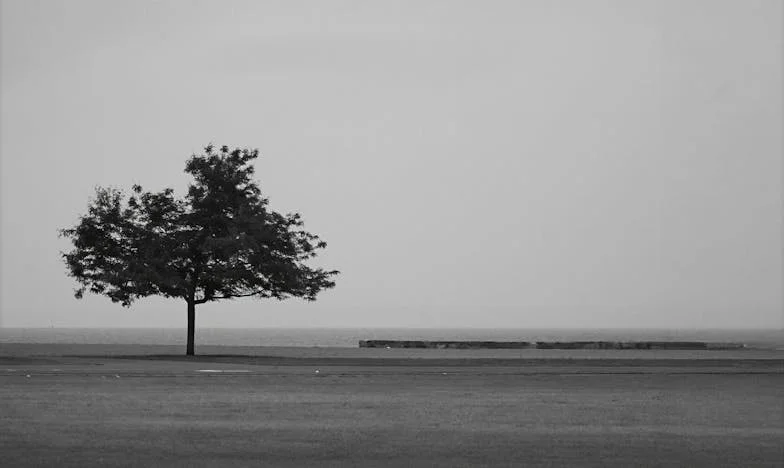 Six ans de silence : l’histoire d’une belle-fille oubliée