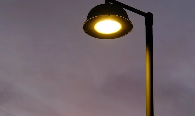 Comment j'ai mis fin à l'invasion de ma cousine pendant les fêtes