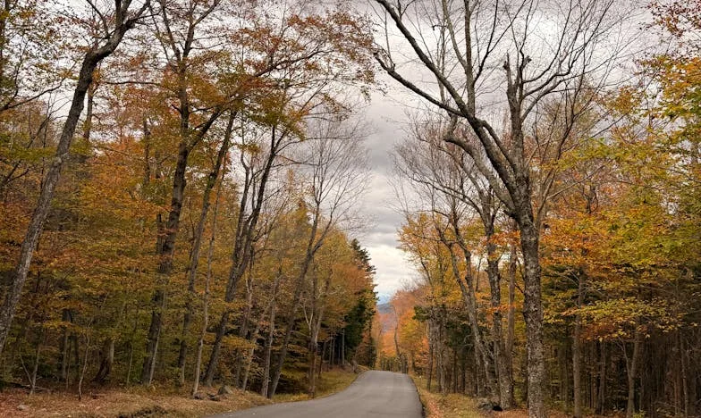 Entre l'amour et la tempête : Ma belle-mère, mon épreuve