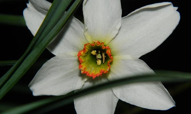 Héritage brisé : Quand l'amour d'une mère divise une famille