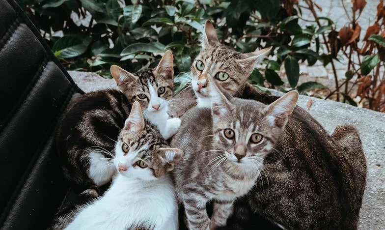 Il m’a quittée quand j’avais le plus besoin de lui – Le plus dur des apprentissages