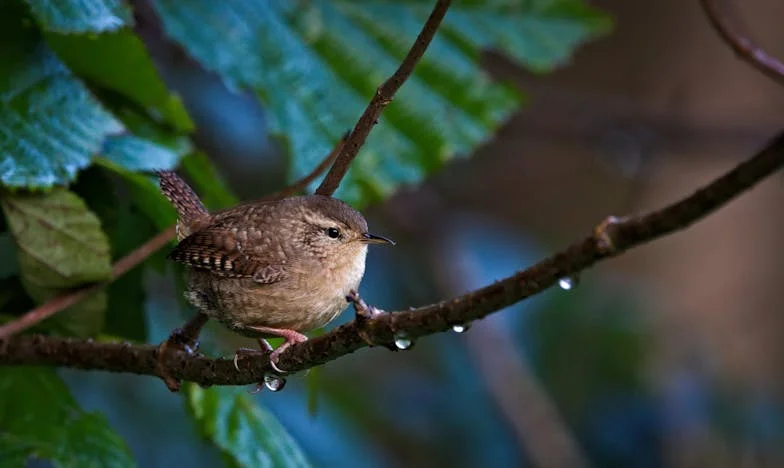 Je n'abandonnerai pas ma vie pour les erreurs des autres – Le combat d'Élise pour son foyer