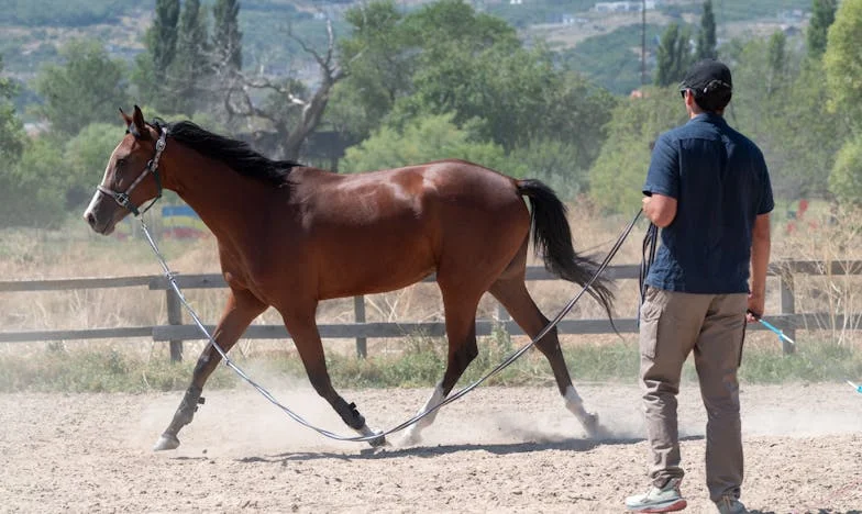 « Je ne veux pas être maman ! » – La confession de ma fille qui a bouleversé notre famille