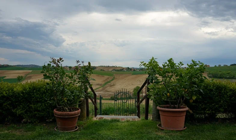 Les frontières de l’amour : L’histoire de Camille, entre respect et estime de soi