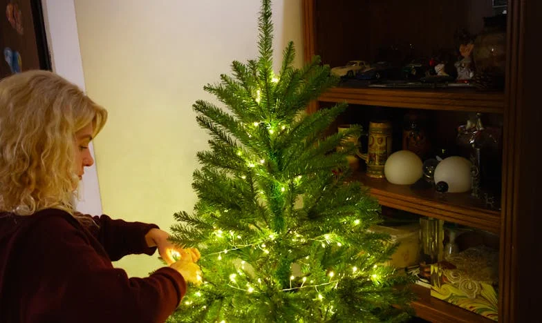 Les Volets Bleus de la Rue des Lilas : Mon Combat pour la Dignité