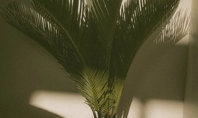 Parfois, la gentillesse ne suffit pas à sauver une famille