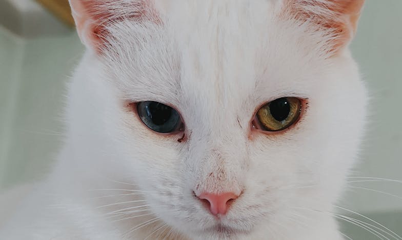 Quand la confiance s'effondre : La nuit où tout a basculé