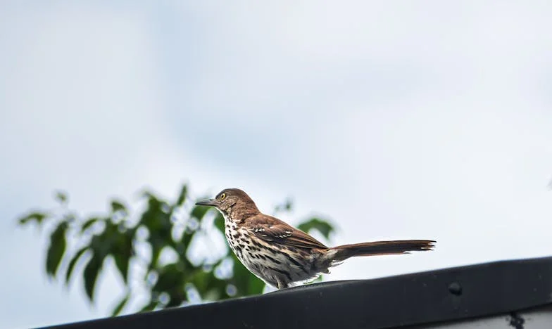 Quand la famille franchit la limite : Mon combat pour un Noël apaisé