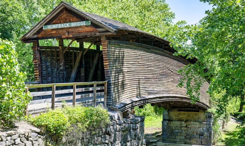 Quand l'amour fait mal : Le combat d'une mère pour son enfant