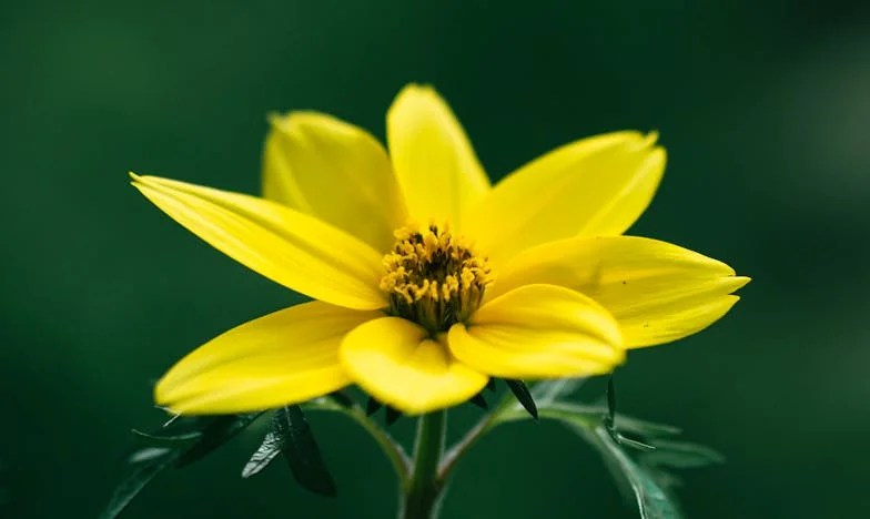Quand le courage de mon fils a bouleversé ma vie : une mère face à ses propres choix