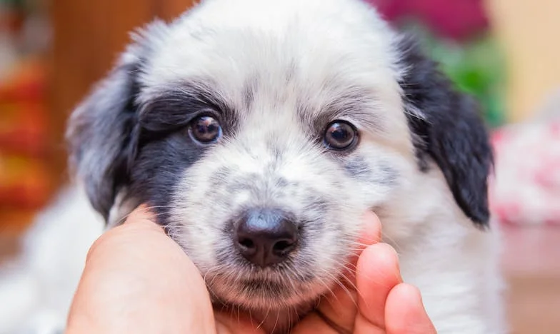 Quand le passé refuse de s'effacer : Comment la nouvelle compagne de mon ex-mari a bouleversé ma vie