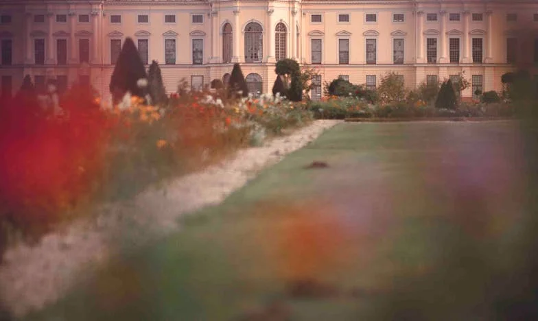 Quand l’égalité s’invite à table : Chronique d’une famille lyonnaise