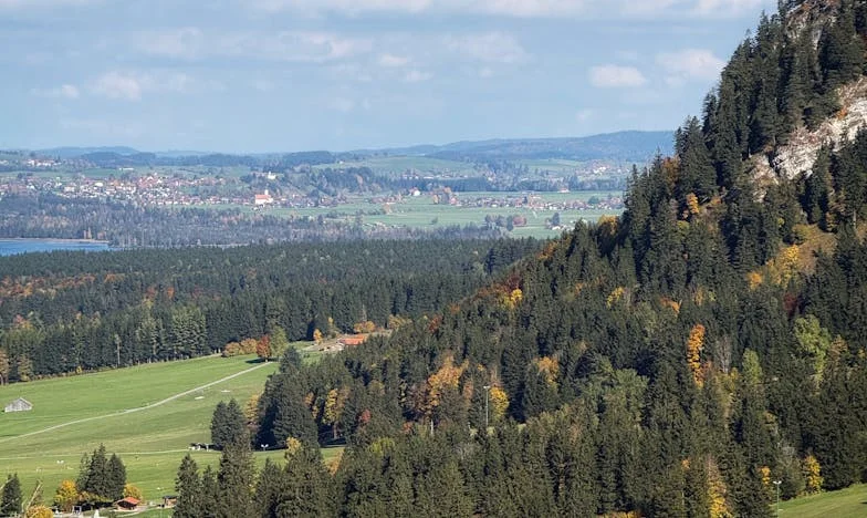 Quand ta propre famille te trahit : Une soirée qui a tout bouleversé