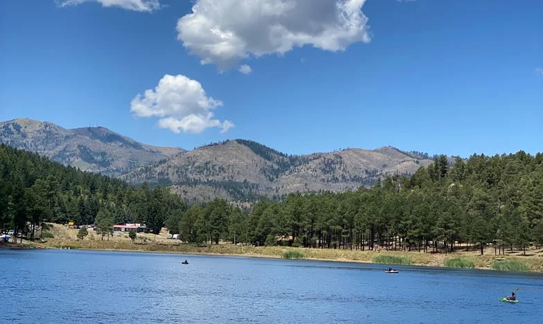 Quand tout s'effondre : mon combat pour renaître dans une France qui ne pardonne pas