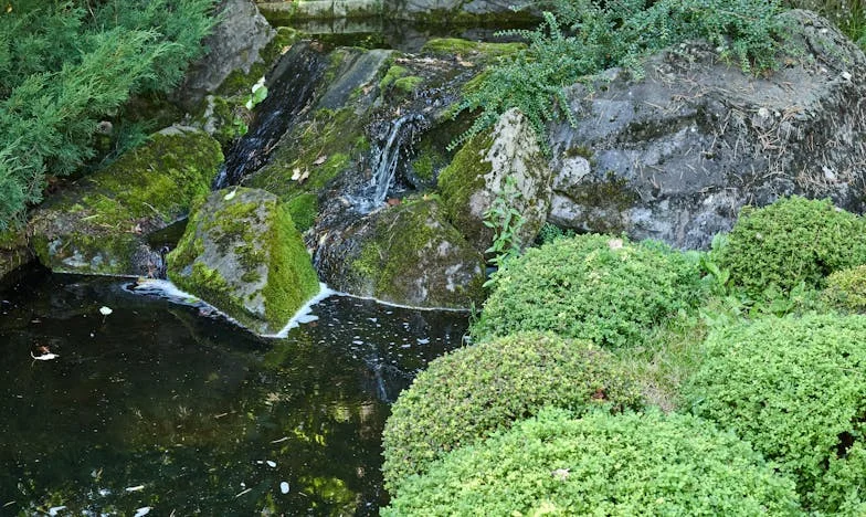 Retour dans une Maison Vide : Comment la Soif d’Argent de Mon Beau-Frère a Déchiré Ma Famille