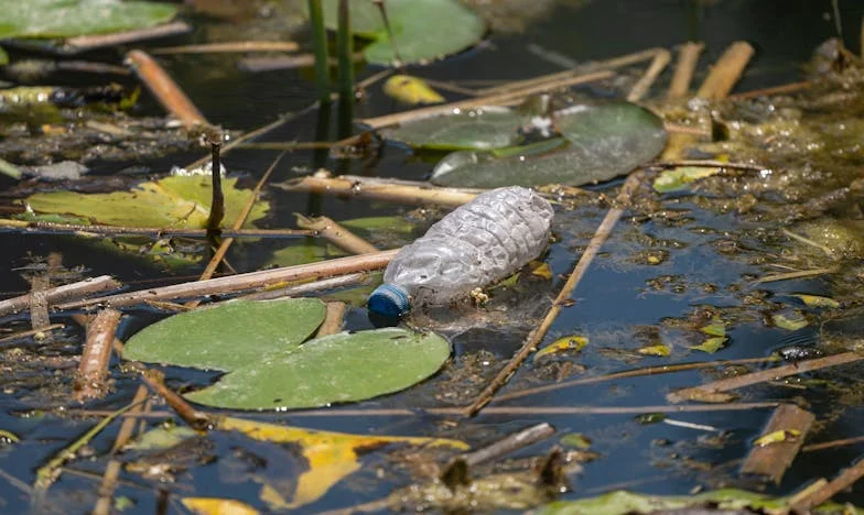 Sofa « Rêverie » – Chronique d’un amour effiloché