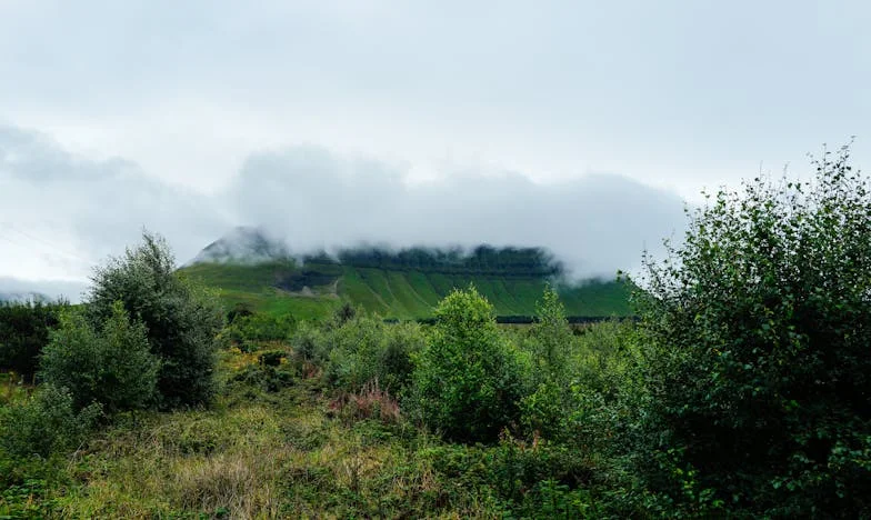 Sous le Même Toit : Quand la Parentalité Devient un Fardeau