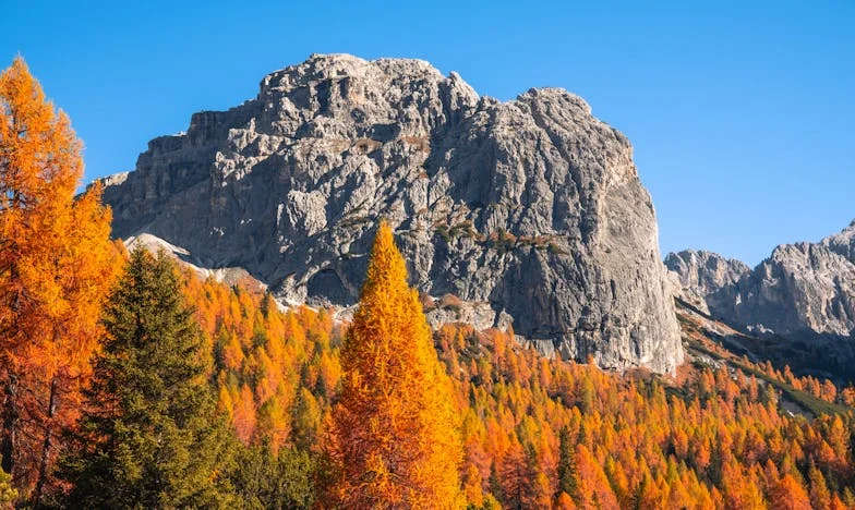 Trouver la lumière : Le combat de François face à l'adversité