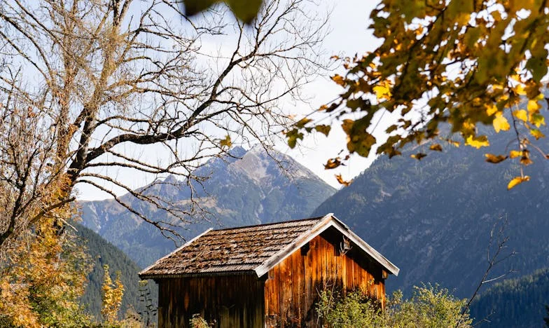 Un Dimanche à Lyon : Quand la Famille Déchire le Cœur