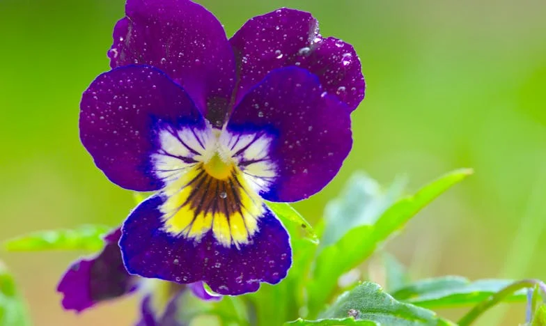 Un pas de plus vers la rupture : Mon mariage au bord du gouffre