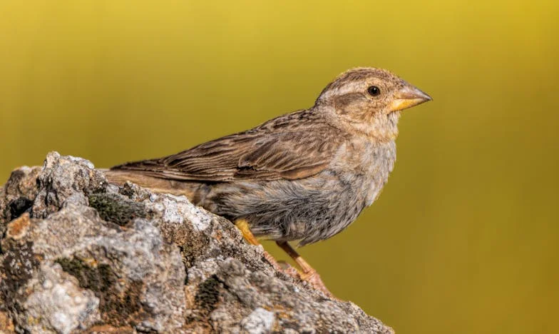 Une seule décision – récit d’humanité dans l’ombre de la pauvreté