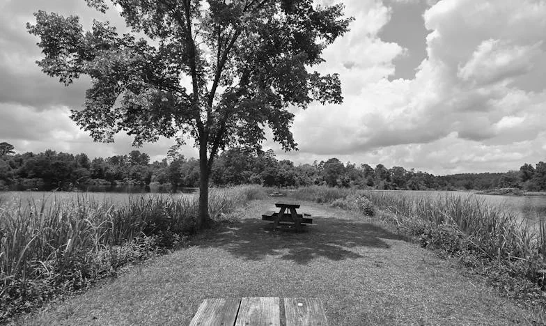 Vingt ans de silence – L’histoire d’un voisinage brisé