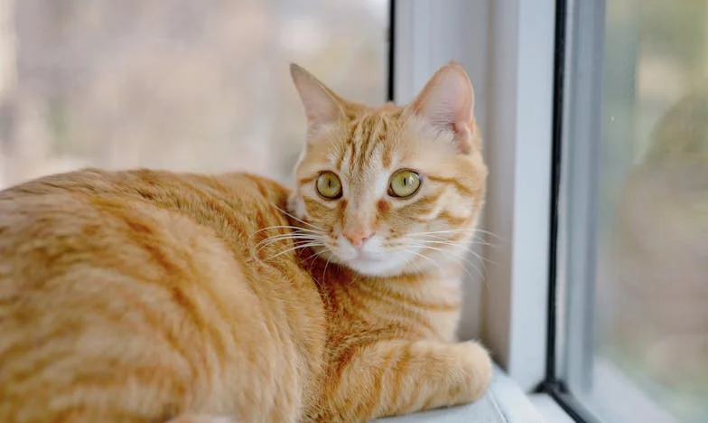 Ce cadeau volé qui a brisé notre famille : chronique d’une trahison silencieuse