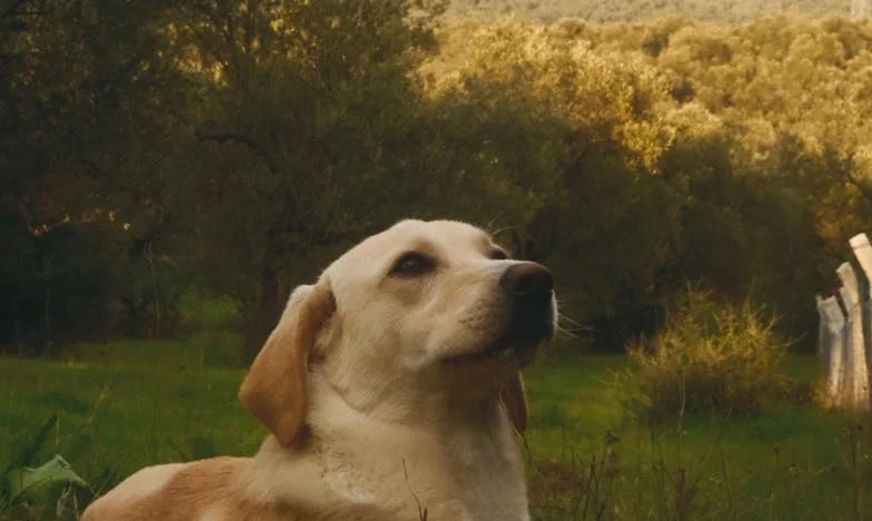Chaque Soir, la Même Histoire : Mon Mari et la Guerre des Restes