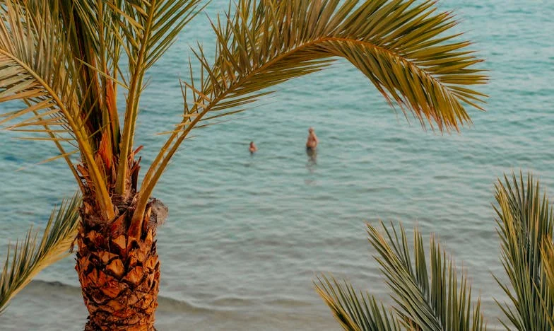 Entre Deux Feux : Mon Mari Contre Ma Famille