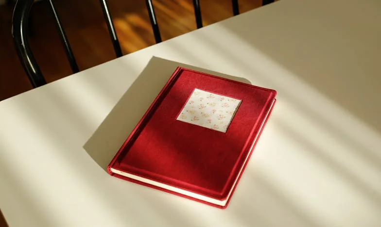 Entre Deux Foyers : Lettre d'une Fille Perdue