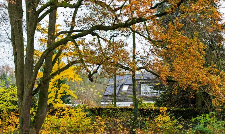 Entre deux foyers : Quand mes affaires ne m’appartiennent plus