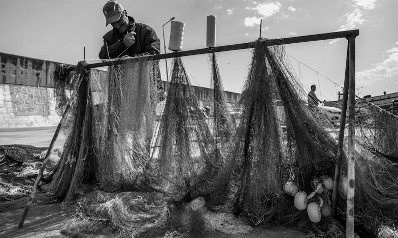 Entre l'amour et la trahison : Histoire d'une mère, d'un frère et d'une famille brisée