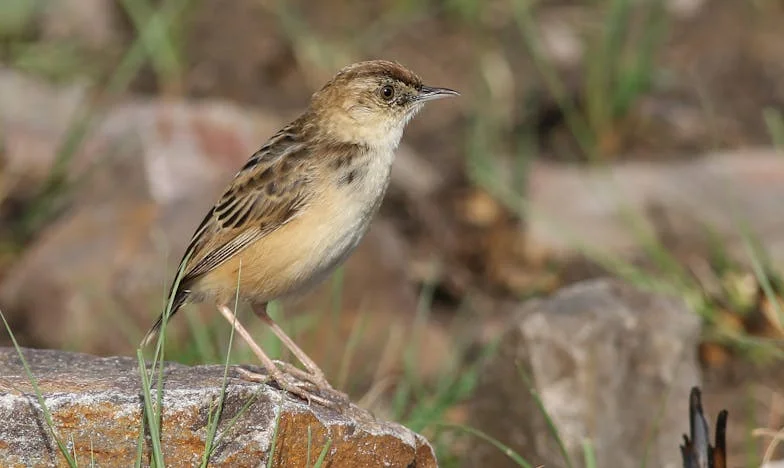« Famille, tu ne seras jamais mon refuge » – Un dimanche qui a tout brisé