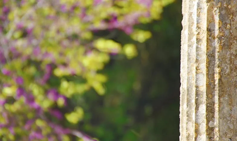 La Dernière Promesse de Maman : Entre Larmes et Espoir à Saint-Martin