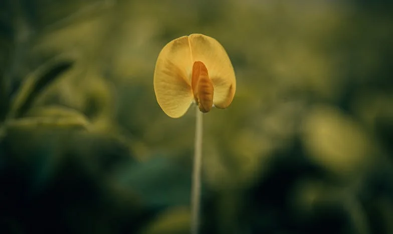 Le Mensonge des Bieszczady : Un Week-end Qui a Tout Changé