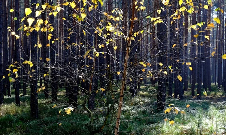 Le Poison du Silence : Une Fille Face à la Dépendance de sa Mère