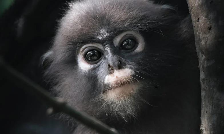 Le Secret de Mon Fils : Jusqu’où Va l’Amour d’une Mère ?