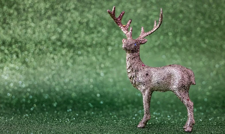 Mariage de raison : Quand le cœur se tait et que la vie impose ses choix