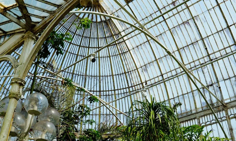 Mon anniversaire approche, mais la paix me fuit : Comment éviter d'inviter ma belle-fille ?