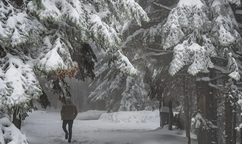 Mon mari m’a envoyé une facture pour notre vie commune : Histoire d’une confiance brisée