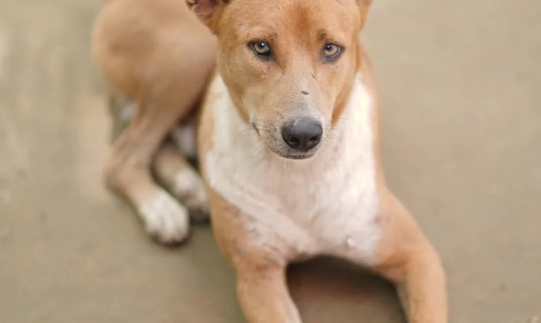 Quand la vie bascule : le combat de ma femme et le chaos de mon cœur