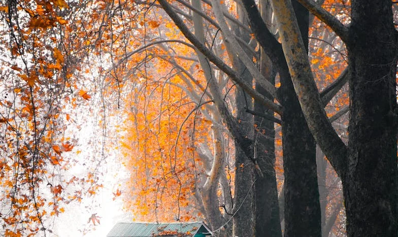 Quand la vie vous tourne le dos : L’histoire de Camille, mère seule dans les faubourgs de Marseille