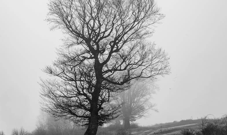 Quand le passé frappe à la porte : Histoire de secrets et de pardon dans une famille française