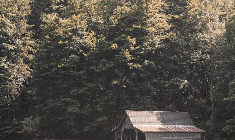 Quand les invités ne veulent plus partir : Un Pâques qui a bouleversé ma vie