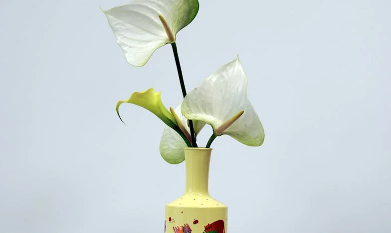 Quand ma belle-mère est devenue ma responsabilité : Cinq années qui ont bouleversé ma vie