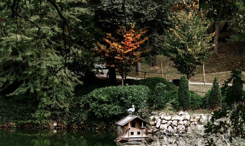 Quand mon grand-père a choisi la voisine : chronique d'une famille brisée