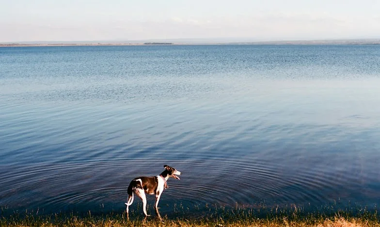 Quand mon mari a choisi son frère avant nous