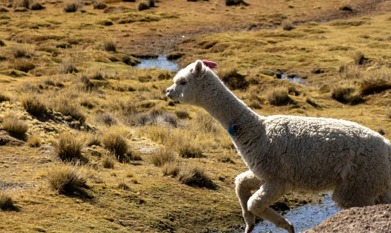 Quand ta propre famille te trahit : Histoire de silence, de fierté et de trahison