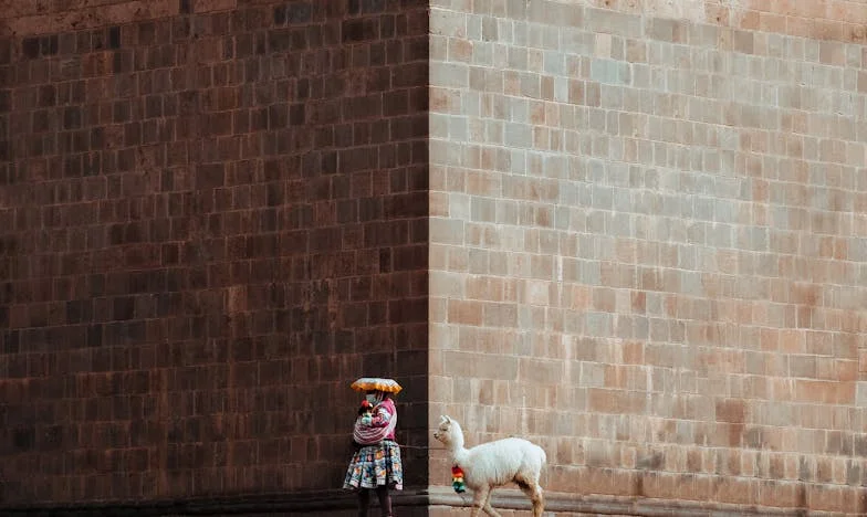 Sous le même toit : Histoire d'une trahison et du silence