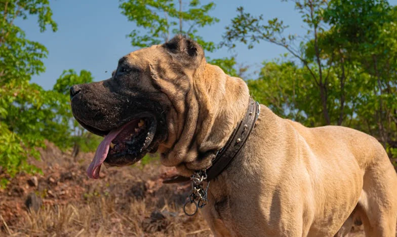 « Toute la journée tu ne fais rien : L’envers du décor de la maternité »